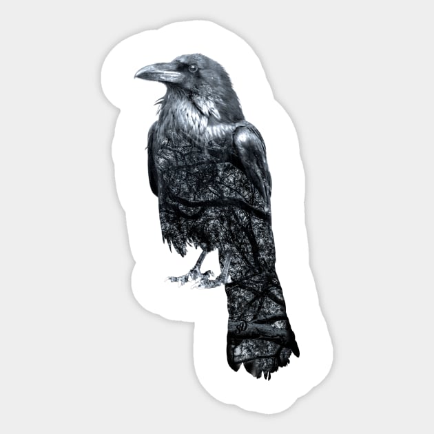 Double Exposure Crow & Tree Branches Sticker by SingeDesigns